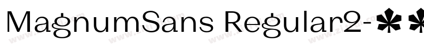 MagnumSans Regular2字体转换